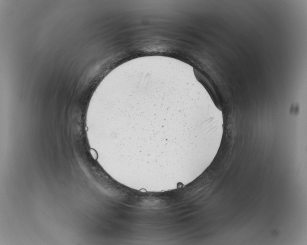 X0000111500547200908251052