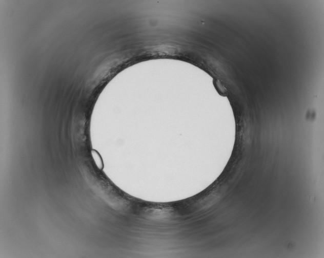 X0000111500548200908251052