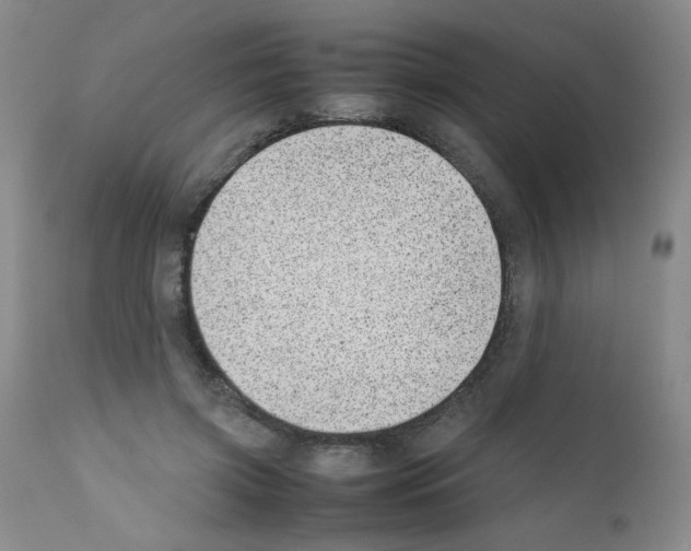 X0000111500549200908251052