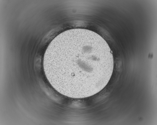 X0000111500550200908251052