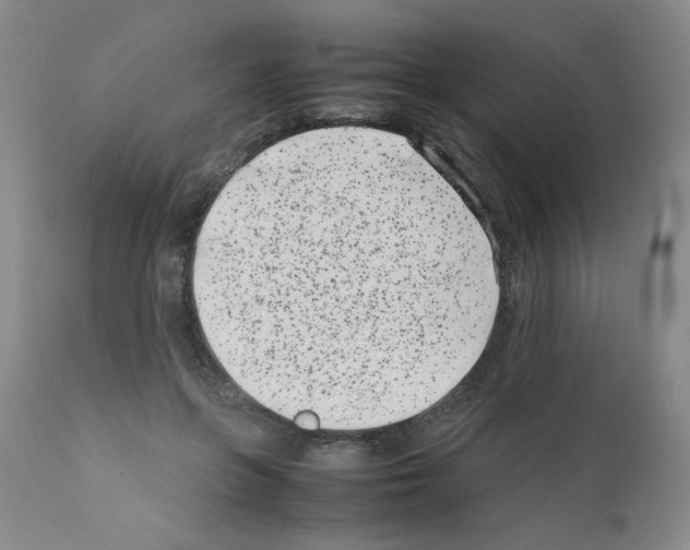 X0000111500551200908251052