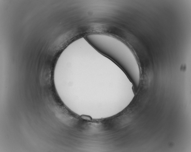 X0000111500552200908251052