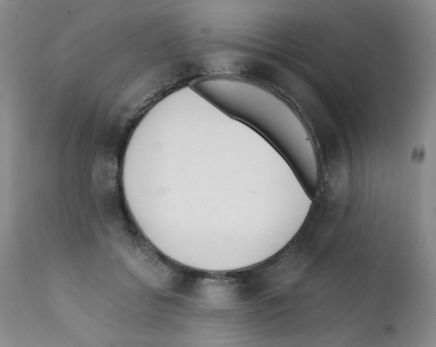 X0000111500556200908251052