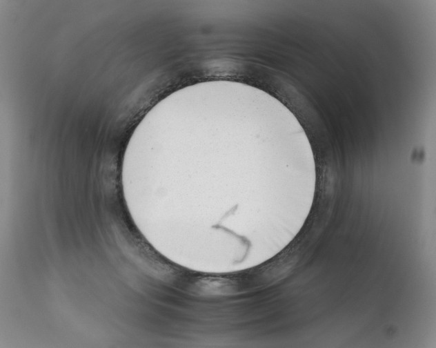 X0000111500557200908251052