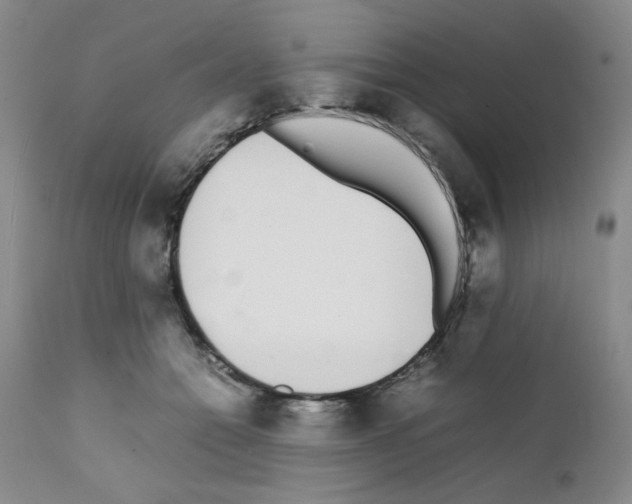 X0000111500558200908251052