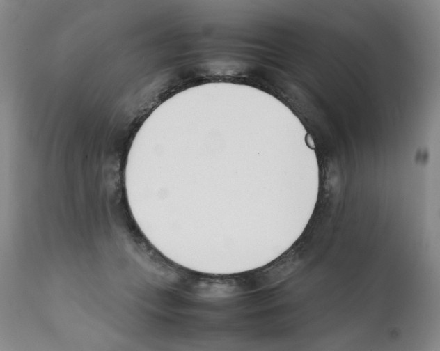 X0000111500559200908251052