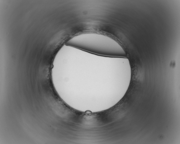 X0000111500560200908251052