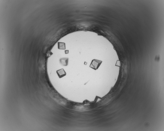 X0000111500561200908251052