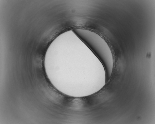 X0000111500562200908251052