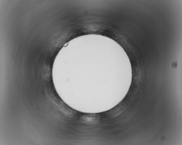 X0000111500563200908251052