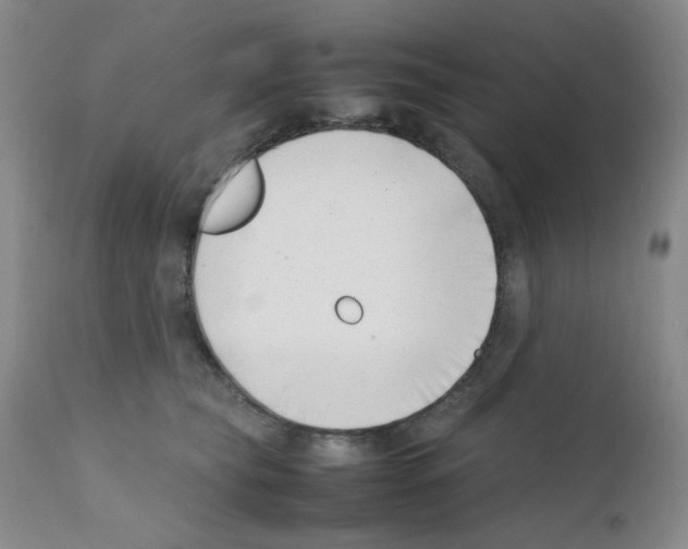 X0000111500565200908251052