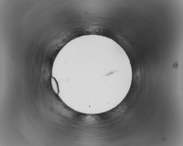 X0000111500566200908251052