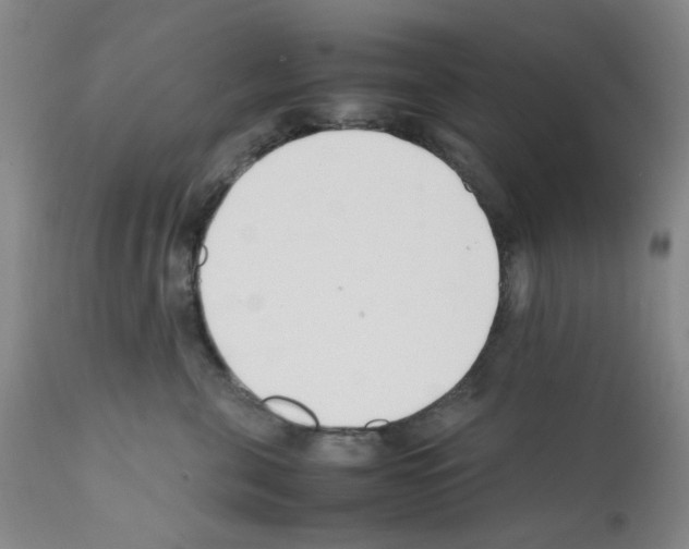 X0000111500571200908251052