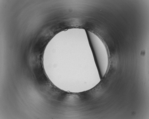 X0000111500572200908251052