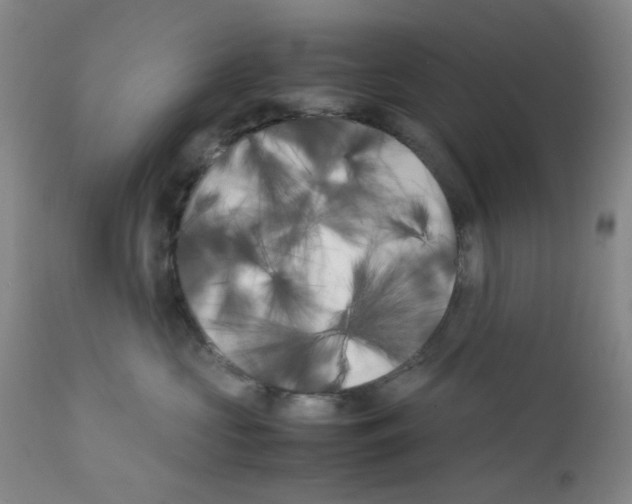 X0000111500573200908251052