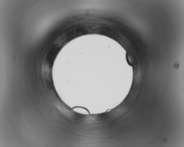 X0000111500574200908251052