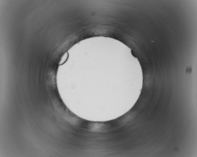 X0000111500575200908251052