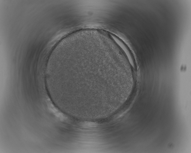 X0000111500577200908251052