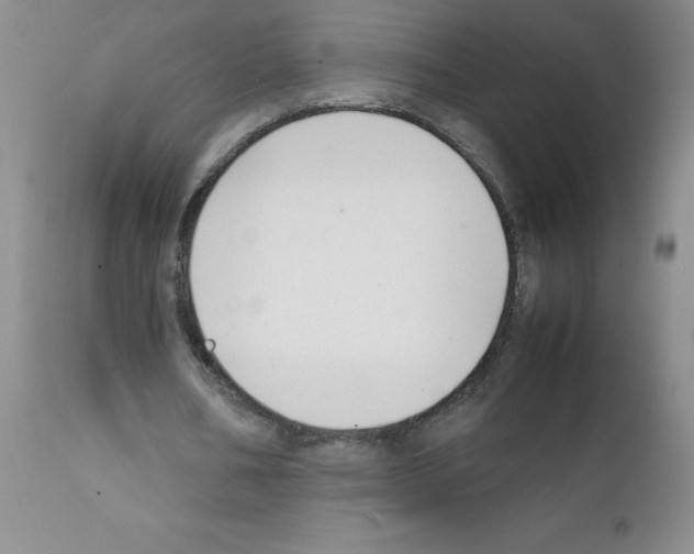 X0000111500578200908251052