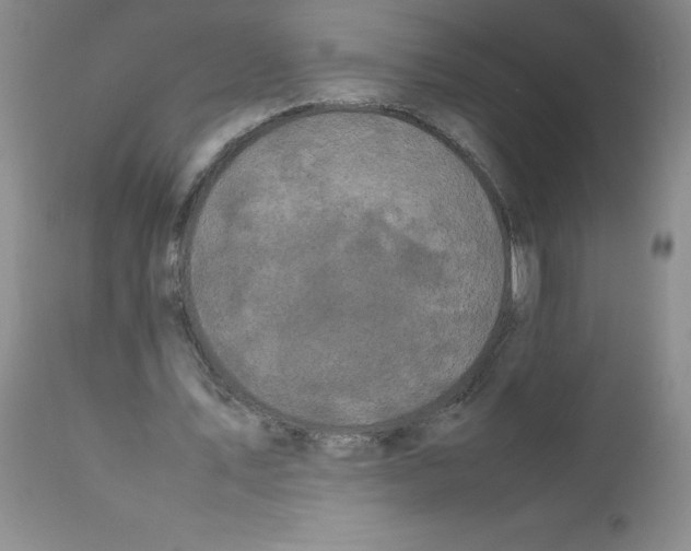 X0000111500579200908251052