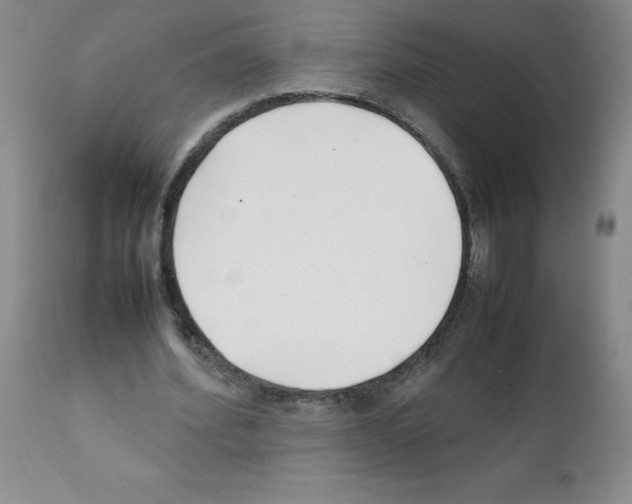 X0000111500580200908251052