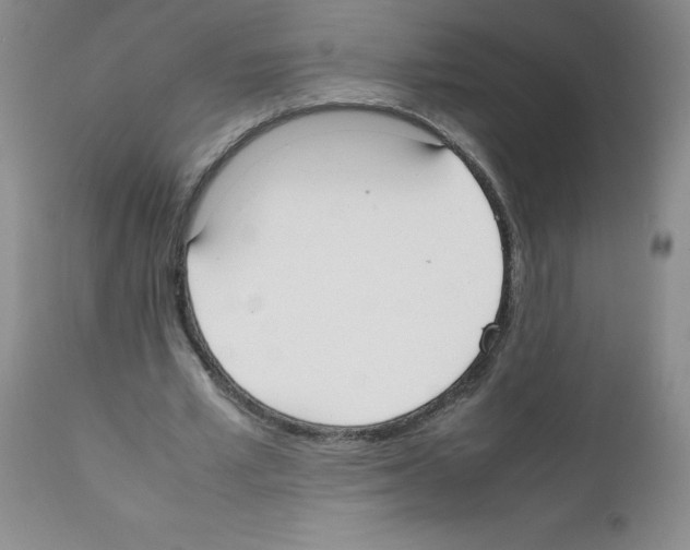 X0000111500581200908251052