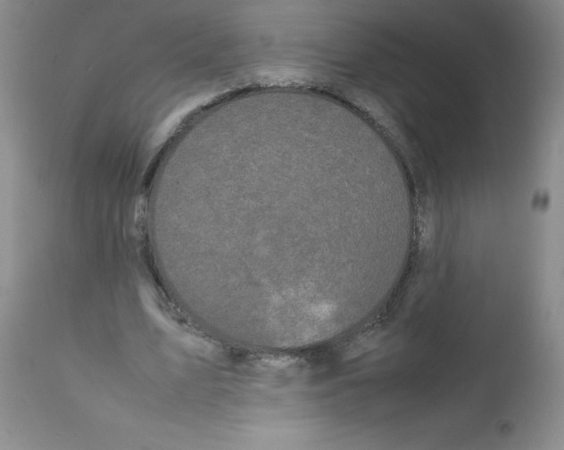 X0000111500583200908251052