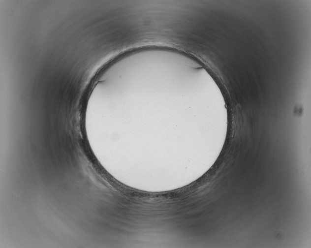 X0000111500584200908251052