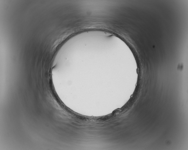 X0000111500585200908251052