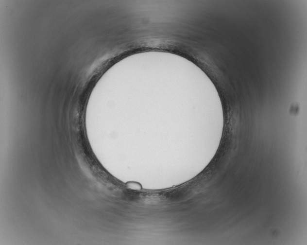 X0000111500587200908251051