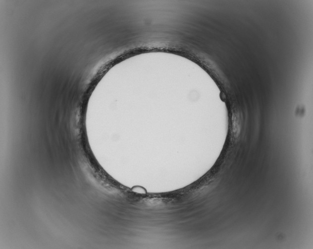 X0000111500588200908251051