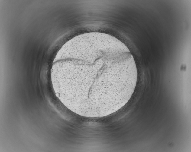 X0000111500590200908251051