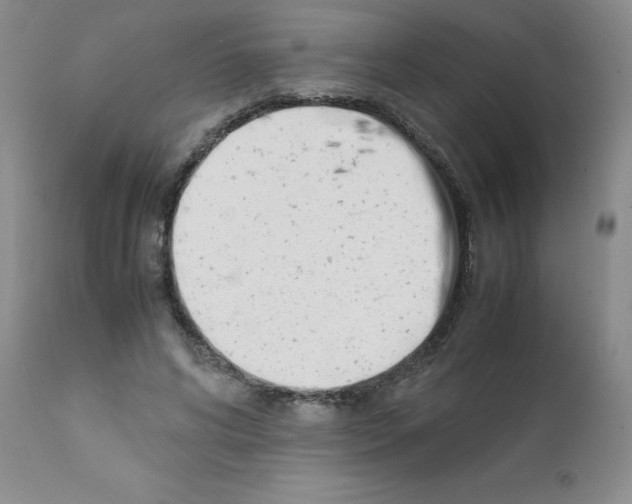 X0000111500592200908251051