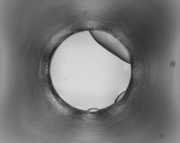 X0000111500593200908251051