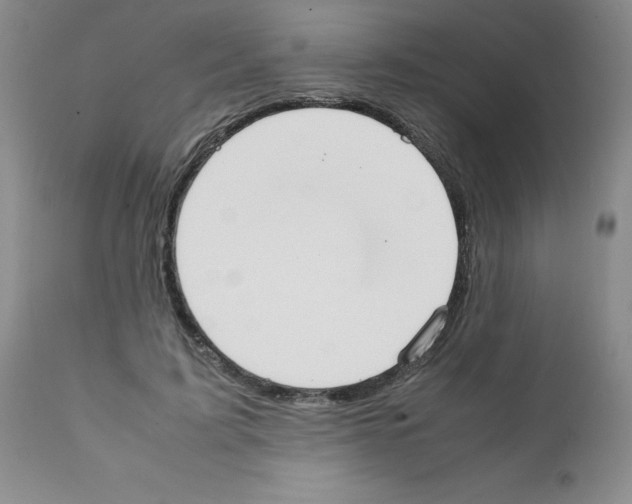 X0000111500595200908251051