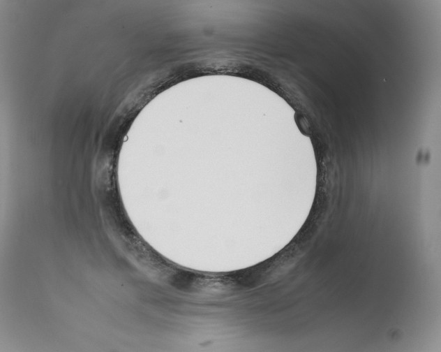 X0000111500597200908251051