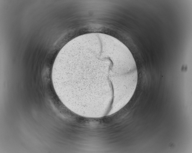 X0000111500598200908251051