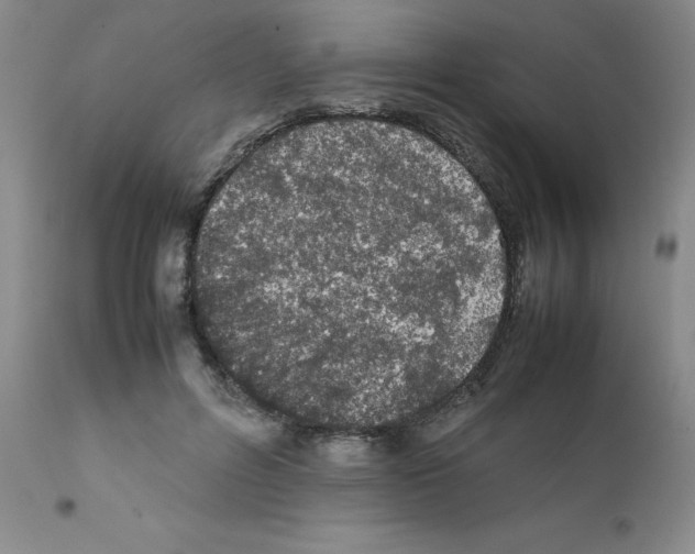 X0000111500600200908251051