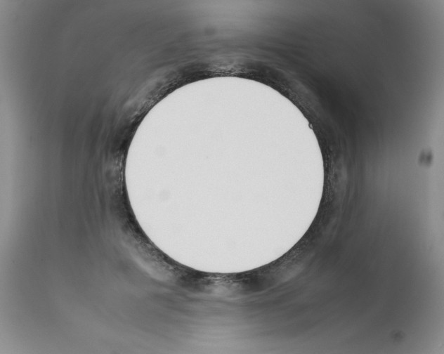 X0000111500601200908251051