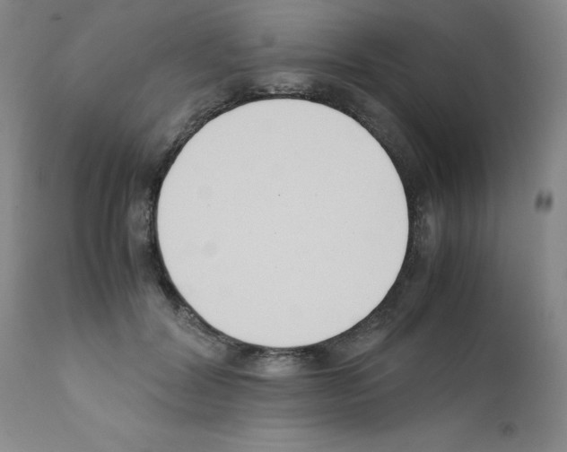 X0000111500604200908251051