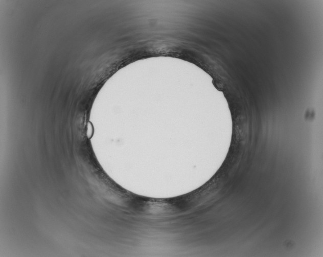 X0000111500605200908251051