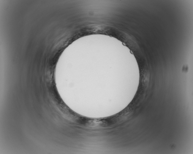 X0000111500607200908251051