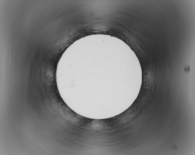 X0000111500608200908251051