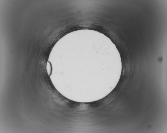 X0000111500609200908251051