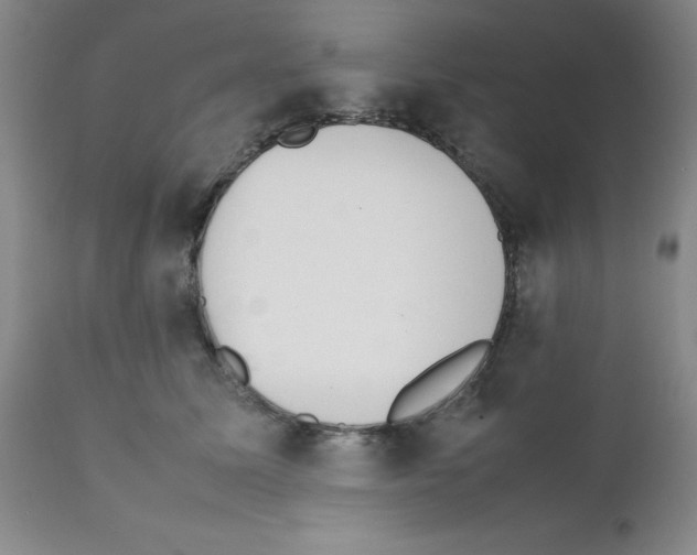 X0000111500611200908251051