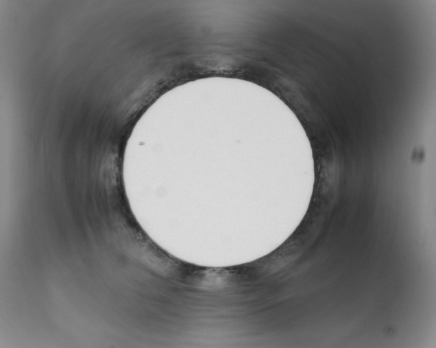 X0000111500612200908251051