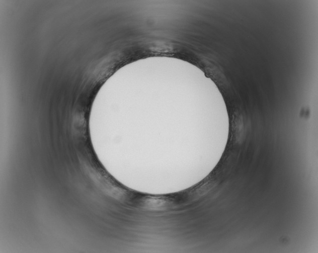 X0000111500614200908251051