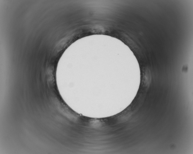 X0000111500616200908251051