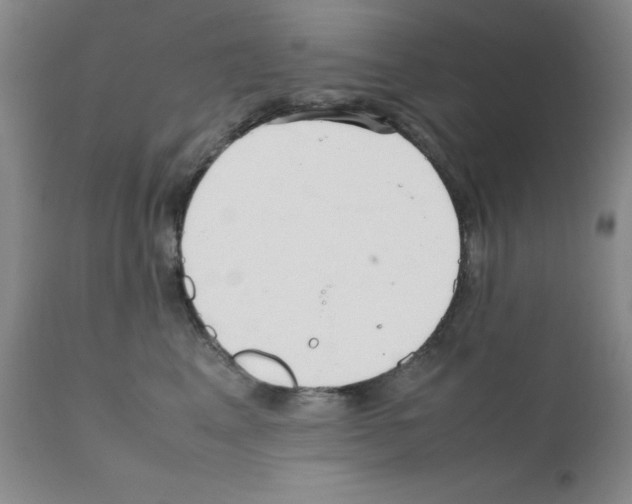 X0000111500617200908251051