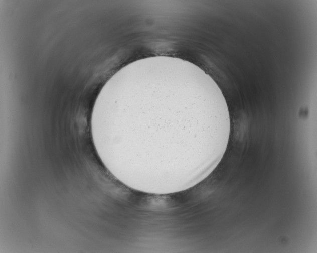 X0000111500618200908251051